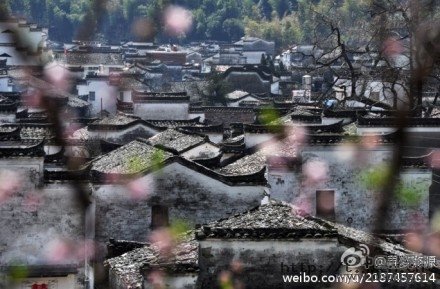 2014中国最美丽县市排行榜
