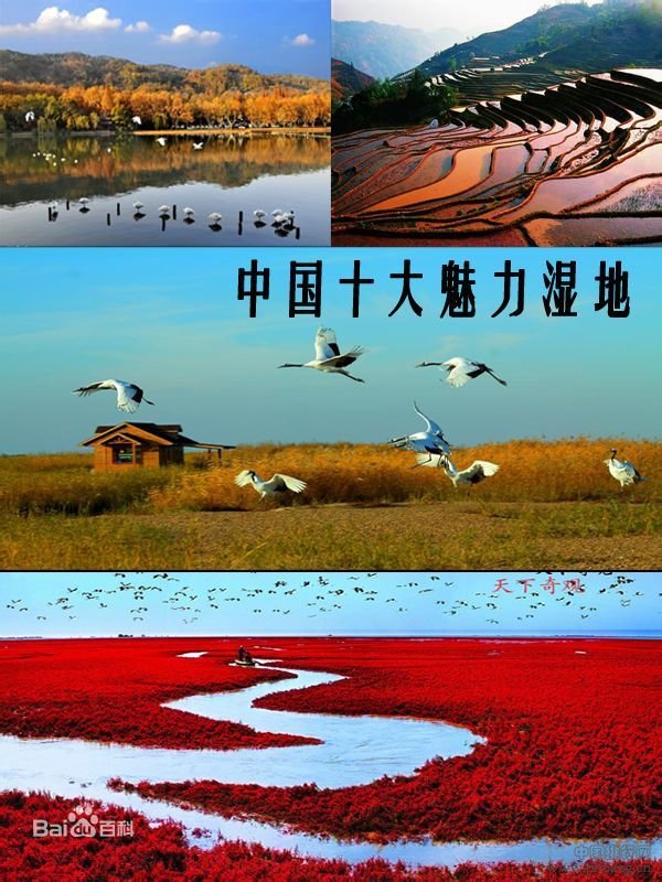 中国十大魅力湿地排行