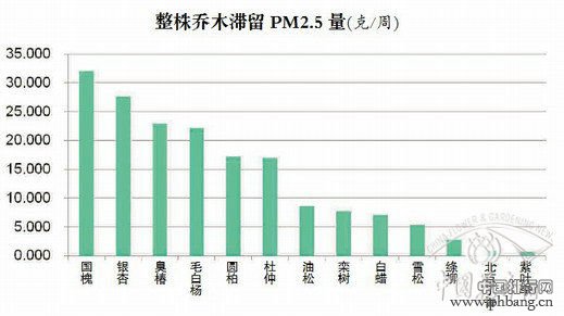 北京60种植物滞尘能力排行榜