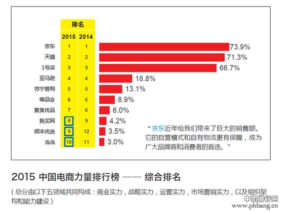 2015中国电商力量排行榜