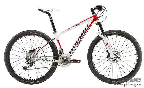 自行车协会自行车品牌排行 价格最贵的十大山地车品牌