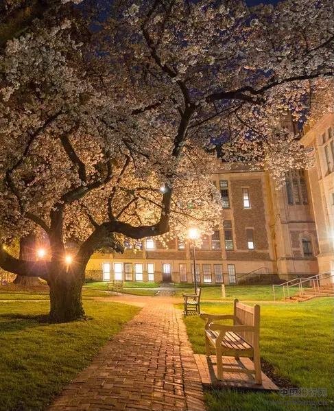 名校有约 世界排名第11位的公立常春藤华盛顿大学