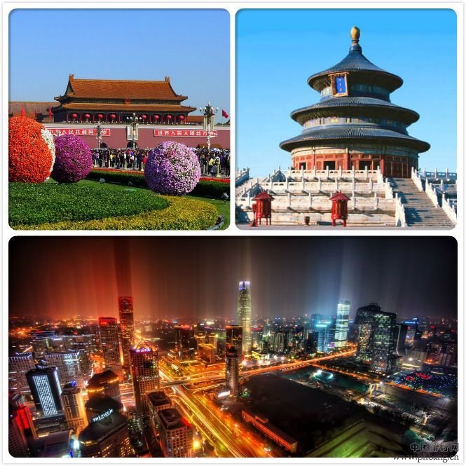 北京VS上海，哪座城市人口更多？