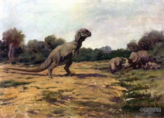 地球早期十大描述奇特的恐龙