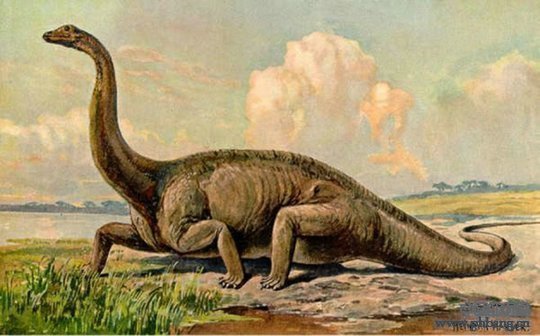 地球早期十大描述奇特的恐龙