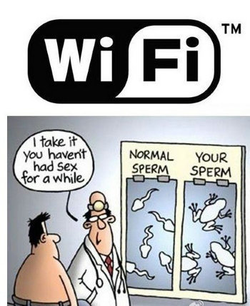 2013年度十大科技谣言  WiFi杀精不靠谱