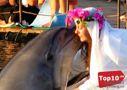 全球10大跨越物种的人兽婚礼