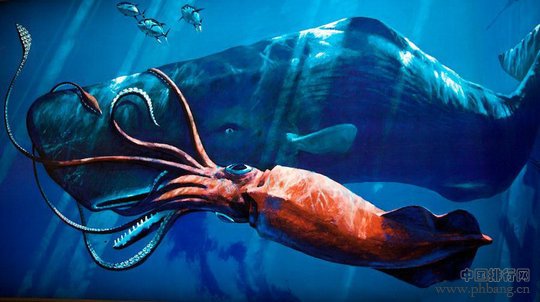 生活在海洋中的10大极端生物