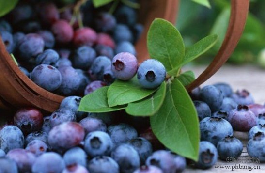 抗氧化防衰老的10大紫色蔬果