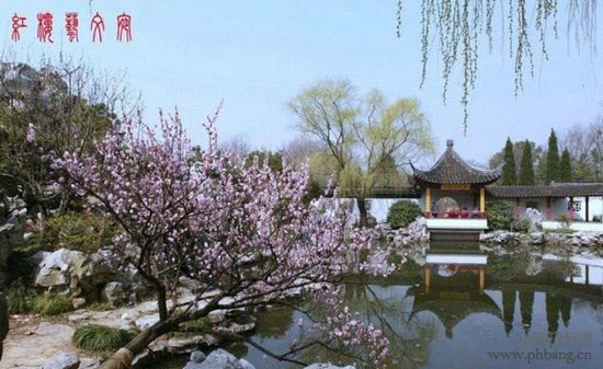 盘点中国最美的十大梅花园(3)