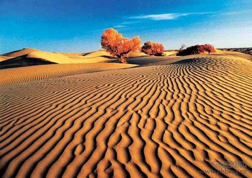 中国最美丽的六大沙漠排行榜