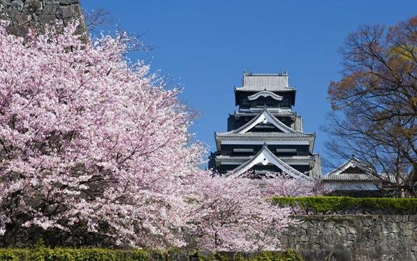 日本十大不可错过的赏樱名所